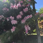 La Ciliegia Bianca B&B *