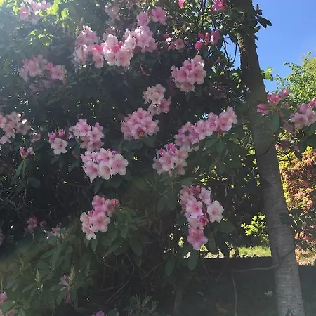 La Ciliegia Bianca Bed & Breakfast *