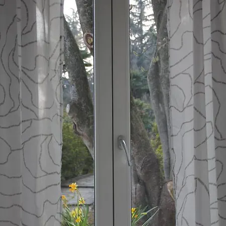 Bed & Breakfast La Ciliegia Bianca Belgirate