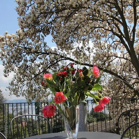 La Ciliegia Bianca Bed & Breakfast