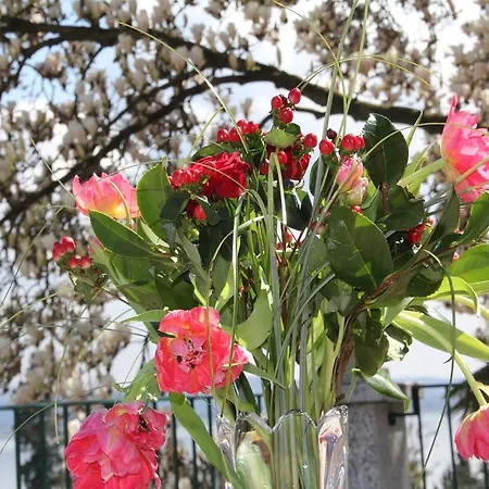 La Ciliegia Bianca Bed & Breakfast *