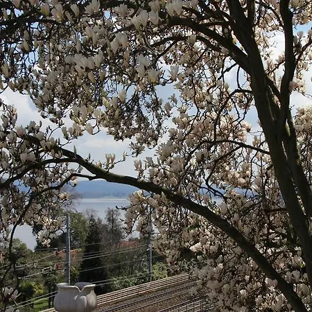 La Ciliegia Bianca * Belgirate