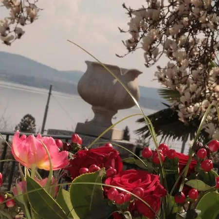 Bed & Breakfast La Ciliegia Bianca