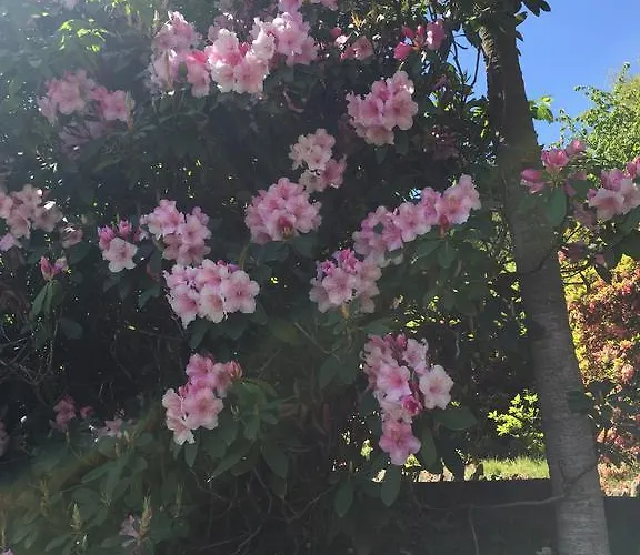 La Ciliegia Bianca Nocleg ze śniadaniem *