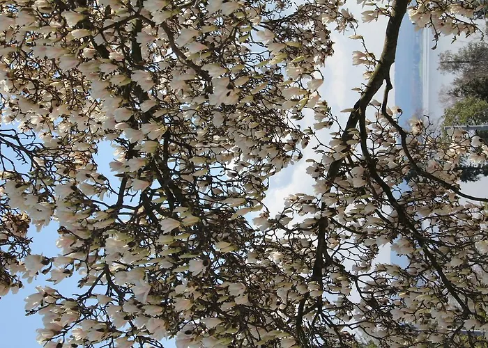 Nocleg ze śniadaniem La Ciliegia Bianca *