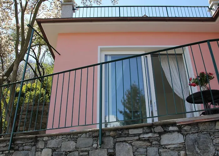 La Ciliegia Bianca *