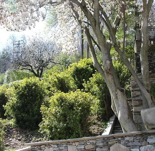 La Ciliegia Bianca * Belgirate