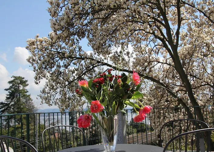 La Ciliegia Bianca B&B