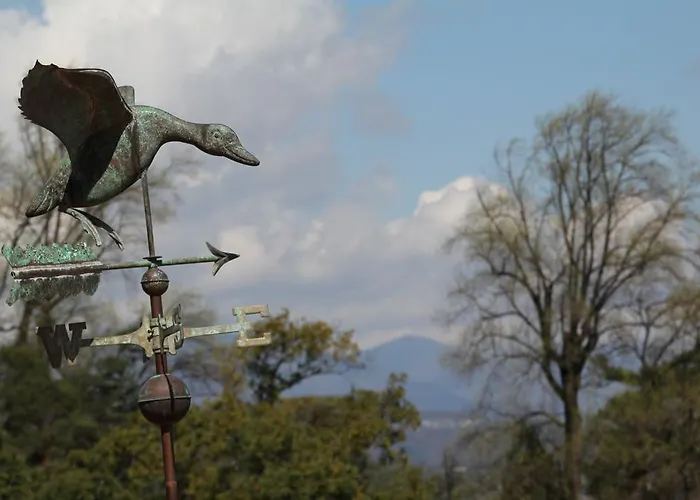 La Ciliegia Bianca *