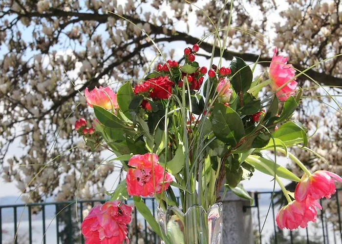 La Ciliegia Bianca B&B *